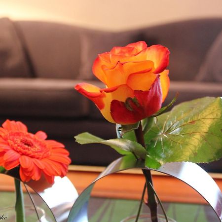 Hotel Majestic Lourdes Esterno foto